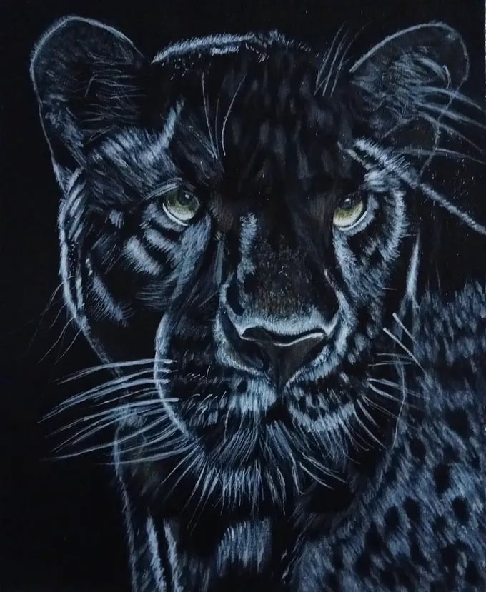 pantera 